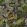 Palm Grove Wallpaper by Josephine Munsey Midnight and Green