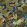 Palm Grove Wallpaper by Josephine Munsey Navy and Olive
