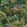 Palm House Mural by Woodchip & Magnolia Lush Green