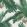 Palm Spring Wallpaper by Rebel Walls Pearl