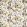 Palm Velvet Fabric by Studio G Blush