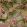 Panama Fabric by Arley House Dusky Pink