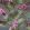 Panama Fabric by Arley House Pink
