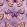 Papilio Velvet Fabric by Avalana Lilac