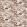Paradise Lost Fabric by Clarke & Clarke Sepia