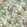 Parrot Wallpaper by Jannelli&Volpi Green
