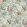 Parrot Wallpaper by Jannelli&Volpi Light Green