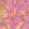 Parrot Talk Wallpaper by Woodchip & Magnolia Hot Pink