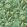 Parrot Talk Wallpaper by Woodchip & Magnolia Lush Green