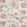 Parvani Fabric by Nina Campbell Pink