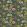 Passiflora Fabric by Clarke & Clarke Emerald