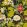 Passiflora Wallpaper by Clarke & Clarke Noir