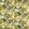 Passiflora Outdoor Fabric by Clarke & Clarke Denim