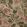 Passiflora Fabric by Warwick Document