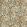 Pataudi Fabric by Nina Campbell Brown