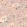 Peonia Wallpaper by Woodchip & Magnolia Rose