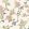 Peony Garden Wallpaper by Borastapeter Neutral