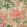 Peony Garden Fabric by Thibaut Beige