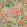 Peony Garden Wallpaper by Thibaut Beige