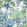 Peony Garden Fabric by Thibaut Blue and Green