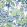 Peony Garden Wallpaper by Thibaut Blue and Green