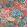 Peony Garden Wallpaper by Thibaut Coral