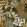 Peradeniya Wallpaper by Casamance Kaki/Paille