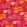 Picnic Wallpaper by Coordonne Pink