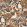 Pico Bonito Fabric by Casamance Mordore/Gris