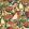 Pico Bonito Fabric by Casamance Multi