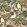 Pico Bonito Fabric by Casamance Violet