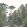 Pinede Mural by Casadeco Vert Pin