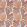 Piuma Fabric by Camengo Fuschia