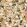 Plongeon Wallpaper by Casamance Celadon/Ambre