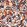 Plongeon Wallpaper by Casamance Marine/Terracotta