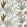 Poesie Sauvage Fabric by Camengo Foret