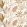 Poesie Sauvage Fabric by Camengo Nude
