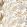 Poesie Sauvage Fabric by Camengo Sable