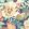 Poppies & Pansies Wallpaper by Ohpopsi Smoky Terra