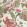 Poppinjay Linen Fabric by Ian Sanderson Rosa Mundi