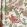 Poppinjay Linen Fabric by Ian Sanderson Rosa Mundi