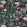 Porcelaine de Chine Velours Fabric by Designers Guild Noir