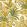 Porquerolles Fabric by Camengo Vert