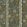 Potter Stripe Wallpaper by Josephine Munsey Blue and Olive