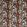 Bengal Tiger Fabric by Prestigious Textiles Safari