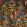 Hidden Paradise Fabric by Prestigious Textiles Calypso