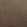 Velour Fabric by Prestigious Textiles Camel