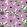 Primavera Wallpaper by Marimekko Pink