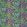 Protea Print Fabric by Thibaut Navy