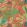 Protea Wallpaper by Thibaut Coral